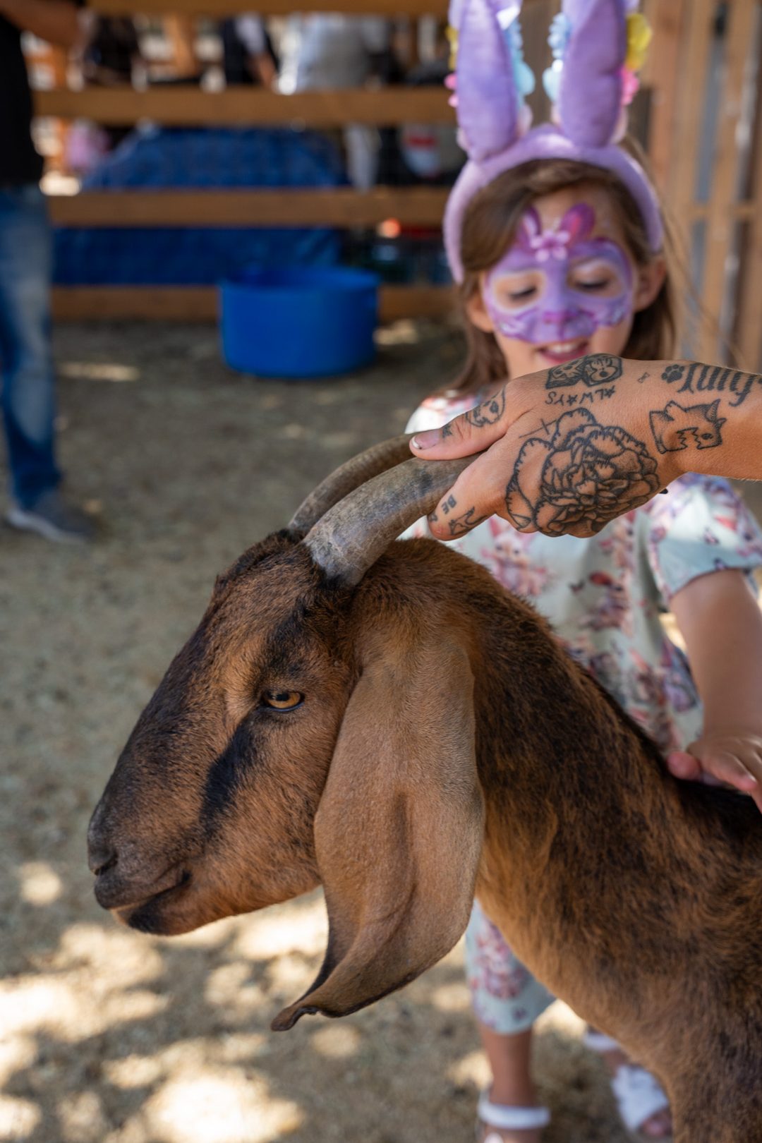 Vail Kids Ranch
