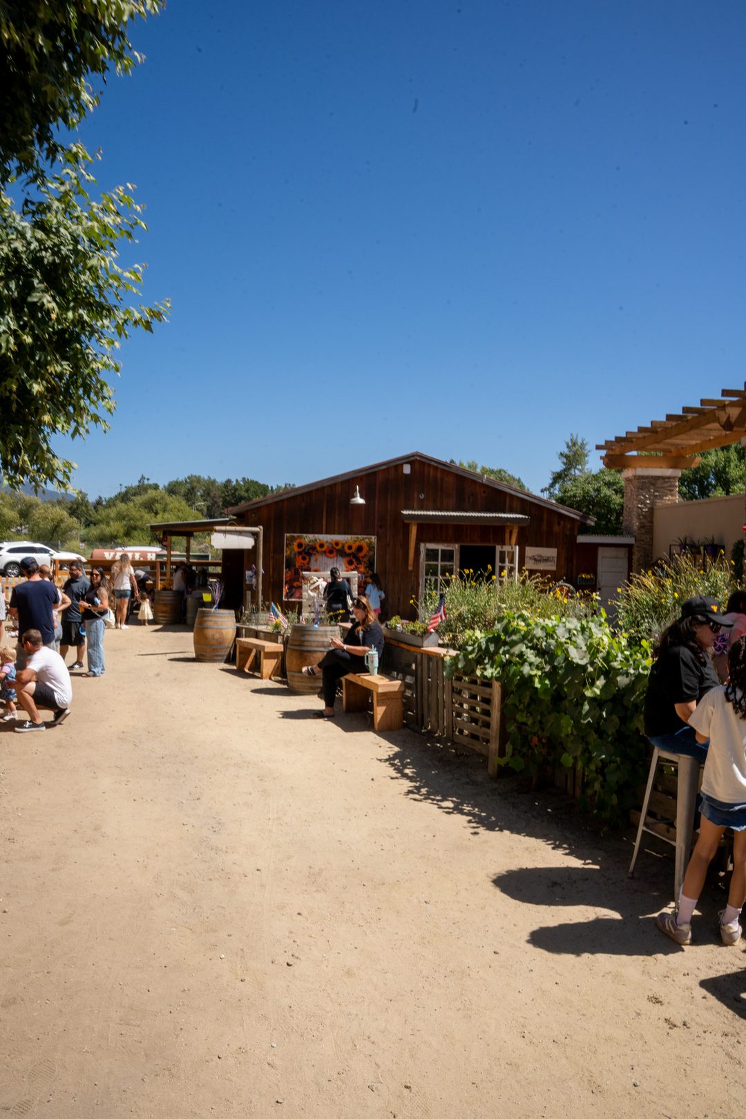 Vail Kids Ranch